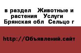  в раздел : Животные и растения » Услуги . Брянская обл.,Сельцо г.